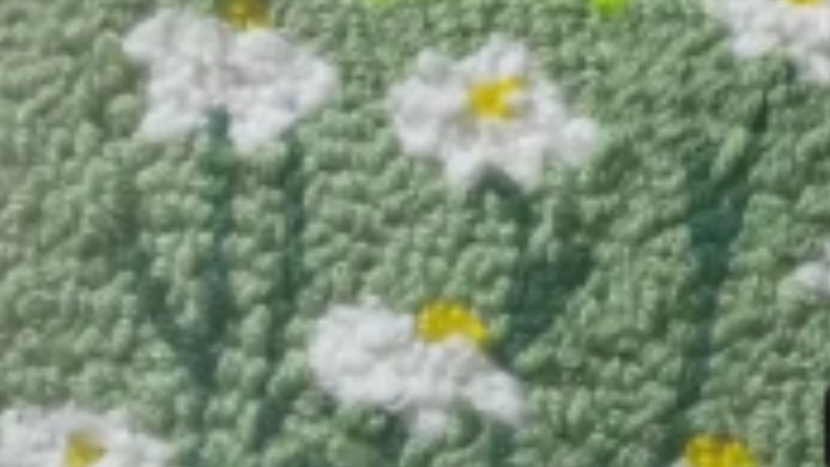 Daisy punch needle in a green field
