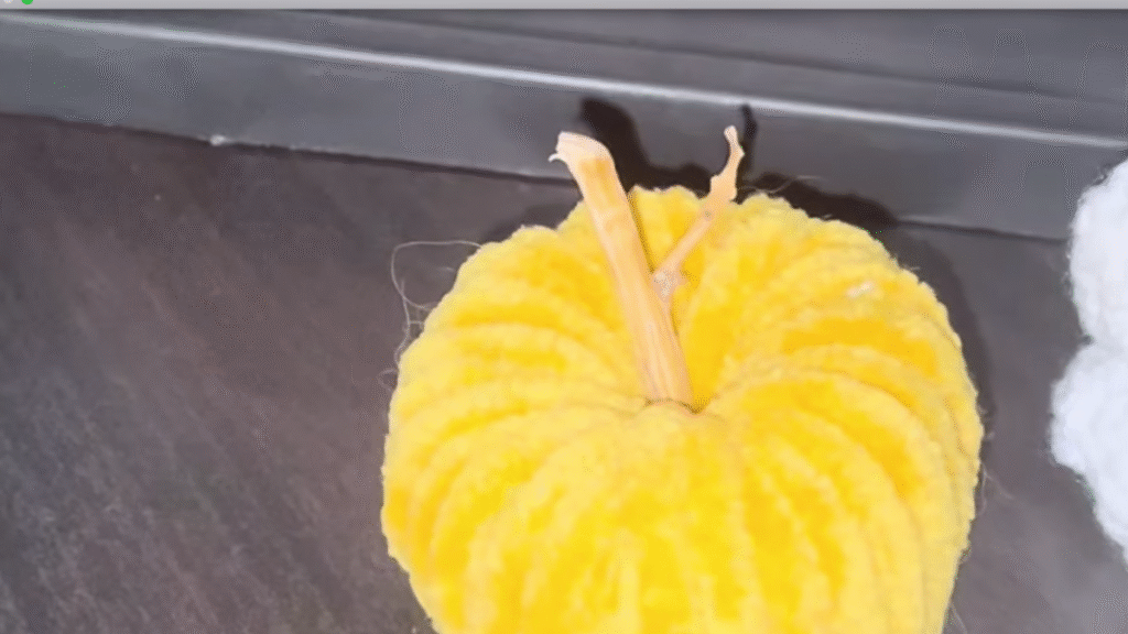 calabaza con lana